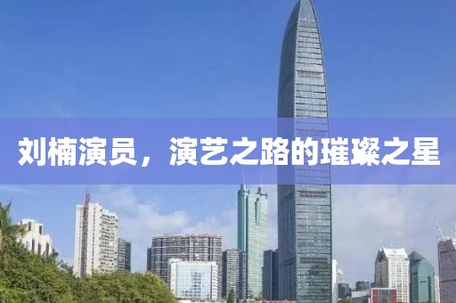 刘楠演员，演艺之路的璀璨之星