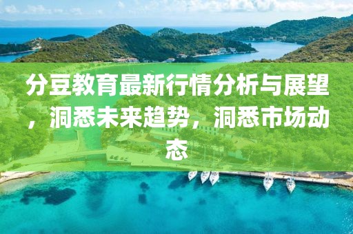 分豆教育最新行情分析与展望，洞悉未来趋势，洞悉市场动态