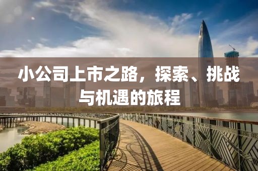 小公司上市之路，探索、挑战与机遇的旅程