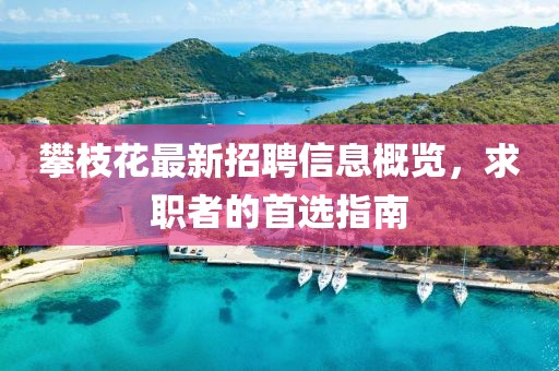 攀枝花最新招聘信息概览，求职者的首选指南