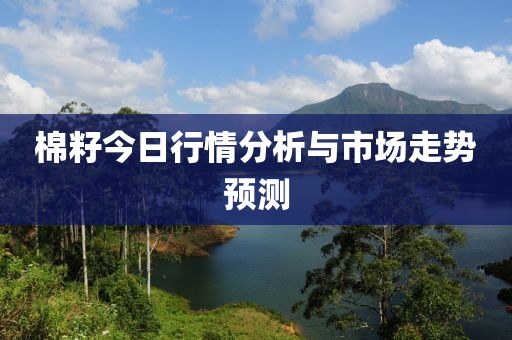 棉籽今日行情分析与市场走势预测
