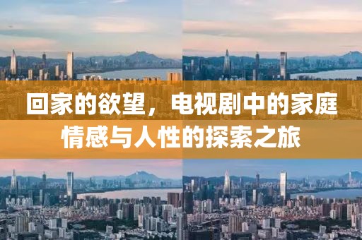 回家的欲望，电视剧中的家庭情感与人性的探索之旅