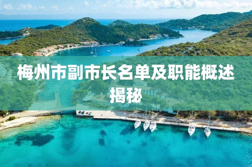 梅州市副市长名单及职能概述揭秘