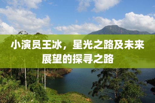 小演员王冰，星光之路及未来展望的探寻之路