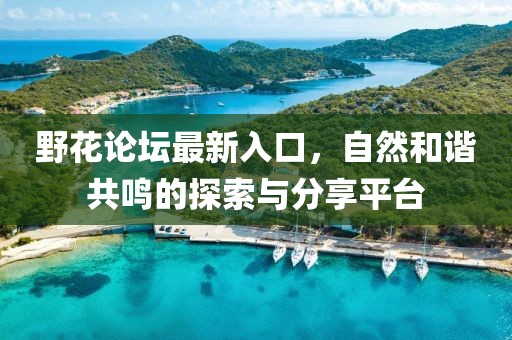 野花论坛最新入口，自然和谐共鸣的探索与分享平台