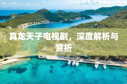 真龙天子电视剧，深度解析与赏析