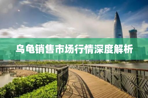 乌龟销售市场行情深度解析