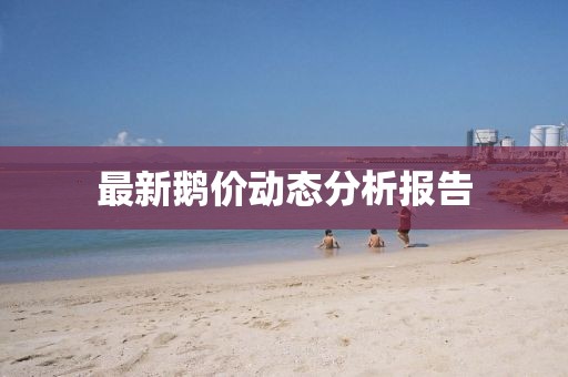 最新鹅价动态分析报告
