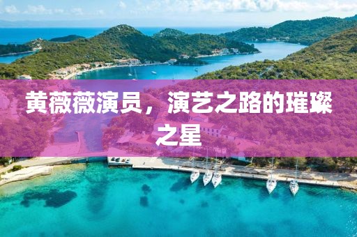 黄薇薇演员，演艺之路的璀璨之星
