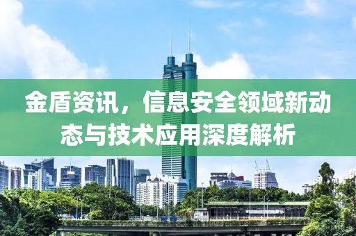金盾资讯，信息安全领域新动态与技术应用深度解析