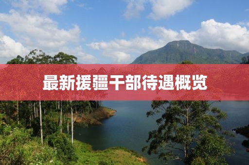 最新援疆干部待遇概览