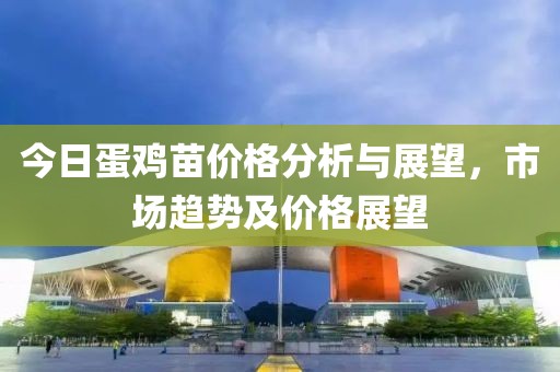 今日蛋鸡苗价格分析与展望，市场趋势及价格展望