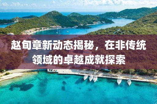 赵旬章新动态揭秘，在非传统领域的卓越成就探索