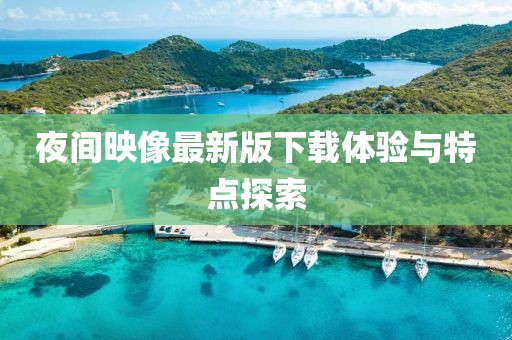夜间映像最新版下载体验与特点探索