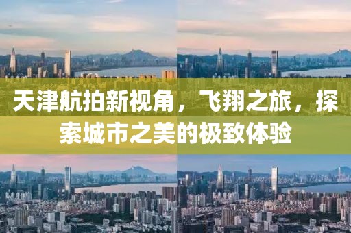 天津航拍新视角，飞翔之旅，探索城市之美的极致体验