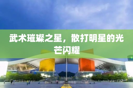 武术璀璨之星，散打明星的光芒闪耀