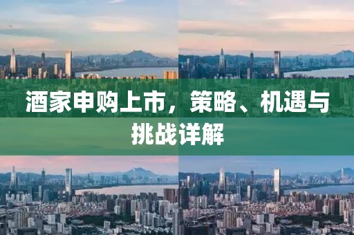 酒家申购上市，策略、机遇与挑战详解