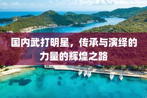 国内武打明星，传承与演绎的力量的辉煌之路