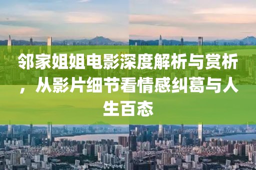 邻家姐姐电影深度解析与赏析，从影片细节看情感纠葛与人生百态
