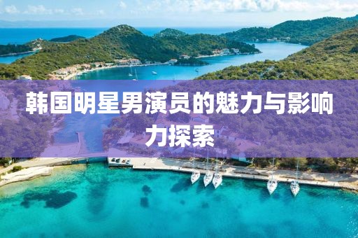 韩国明星男演员的魅力与影响力探索