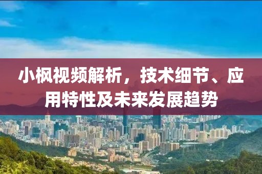 小枫视频解析，技术细节、应用特性及未来发展趋势