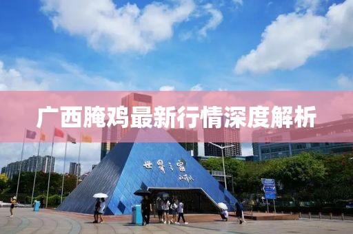 广西腌鸡最新行情深度解析