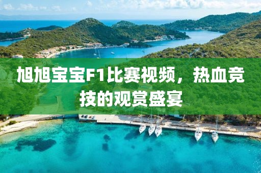 旭旭宝宝F1比赛视频，热血竞技的观赏盛宴
