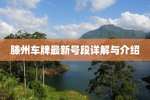 滕州车牌最新号段详解与介绍