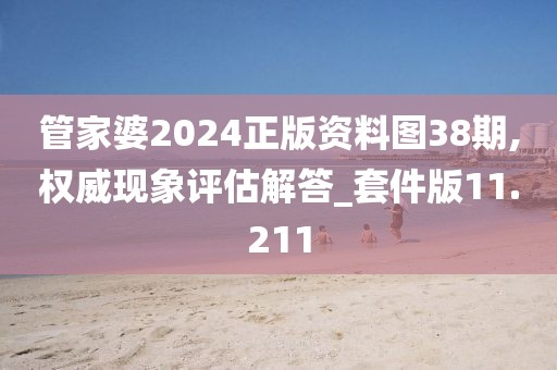 管家婆2024正版资料图38期,权威现象评估解答_套件版11.211