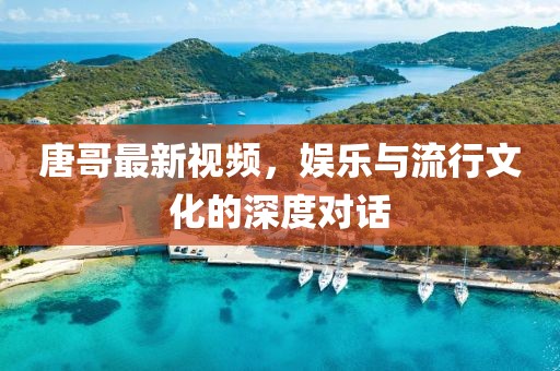 唐哥最新视频，娱乐与流行文化的深度对话