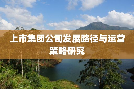 上市集团公司发展路径与运营策略研究