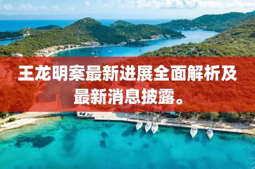 王龙明案最新进展全面解析及最新消息披露。