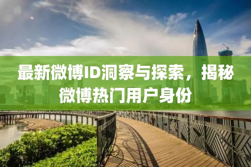 最新微博ID洞察与探索，揭秘微博热门用户身份