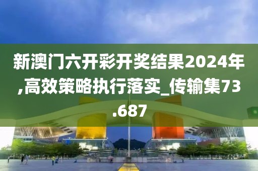 新澳门六开彩开奖结果2024年,高效策略执行落实_传输集73.687