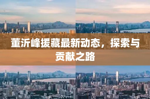 董沂峰援藏最新动态，探索与贡献之路