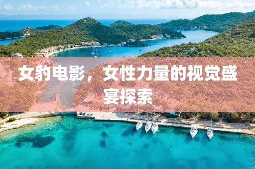 女豹电影，女性力量的视觉盛宴探索