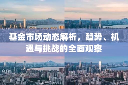 基金市场动态解析，趋势、机遇与挑战的全面观察