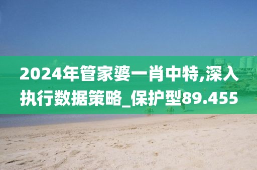 2024年管家婆一肖中特,深入执行数据策略_保护型89.455
