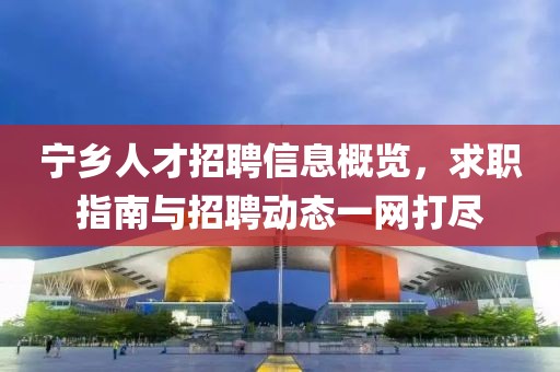 宁乡人才招聘信息概览，求职指南与招聘动态一网打尽