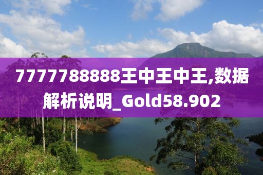 7777788888王中王中王,数据解析说明_Gold58.902