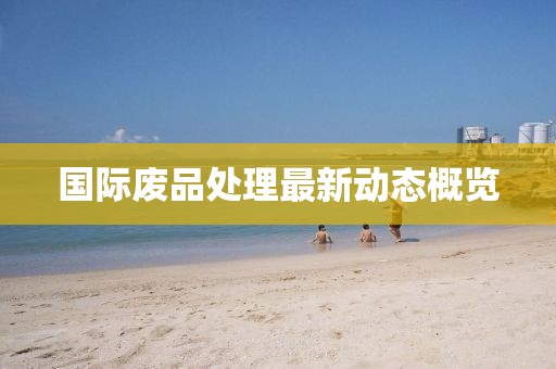 国际废品处理最新动态概览