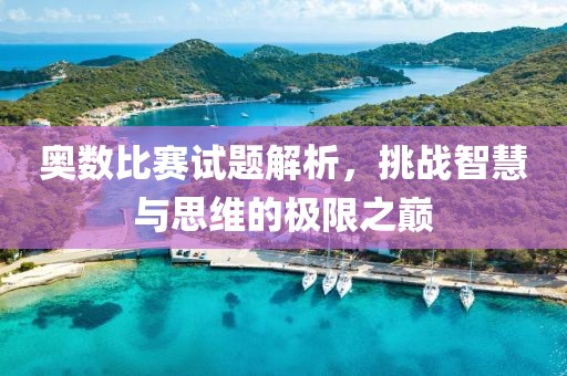 奥数比赛试题解析，挑战智慧与思维的极限之巅