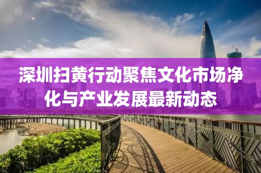 深圳扫黄行动聚焦文化市场净化与产业发展最新动态