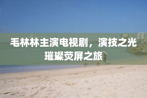 毛林林主演电视剧，演技之光璀璨荧屏之旅