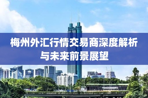 梅州外汇行情交易商深度解析与未来前景展望