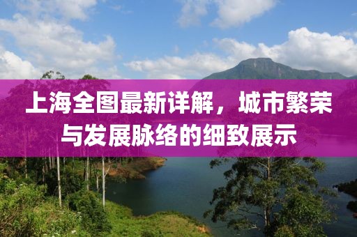 上海全图最新详解，城市繁荣与发展脉络的细致展示