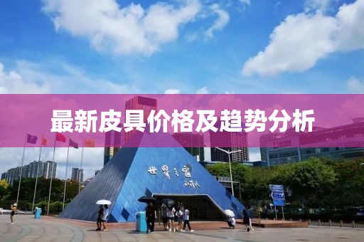 最新皮具价格及趋势分析