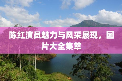 陈红演员魅力与风采展现，图片大全集萃