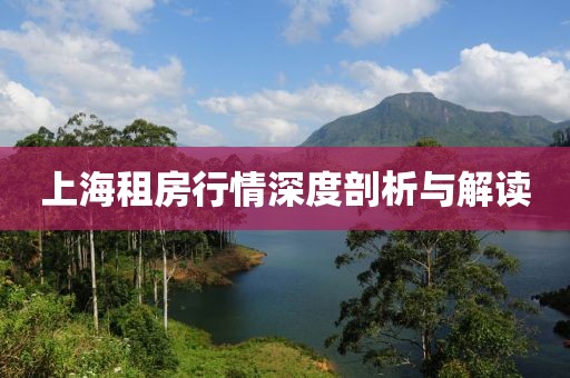 上海租房行情深度剖析与解读