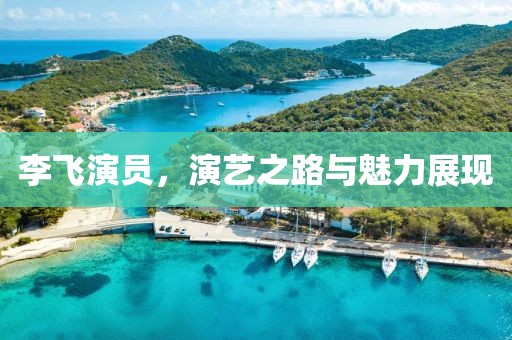 李飞演员，演艺之路与魅力展现